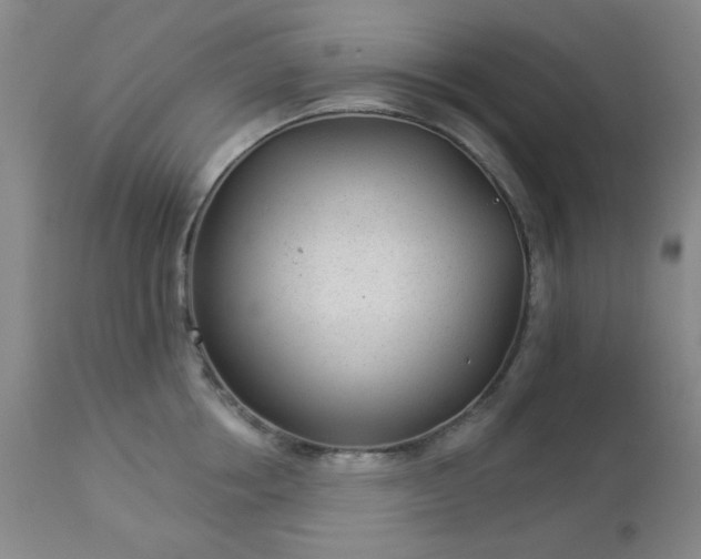 X0000112980858200909031107