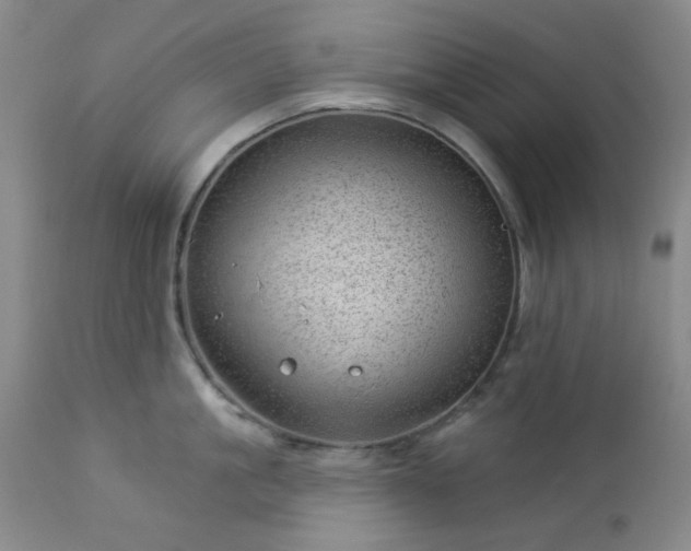 X0000112980861200909031107