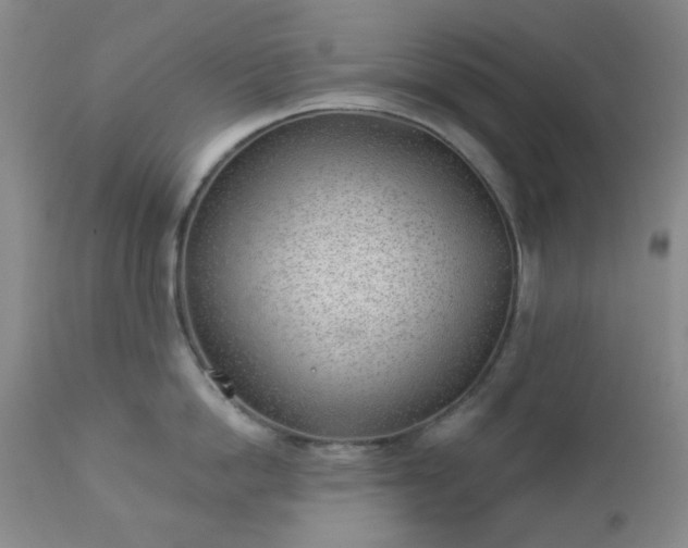 X0000112980862200909031107