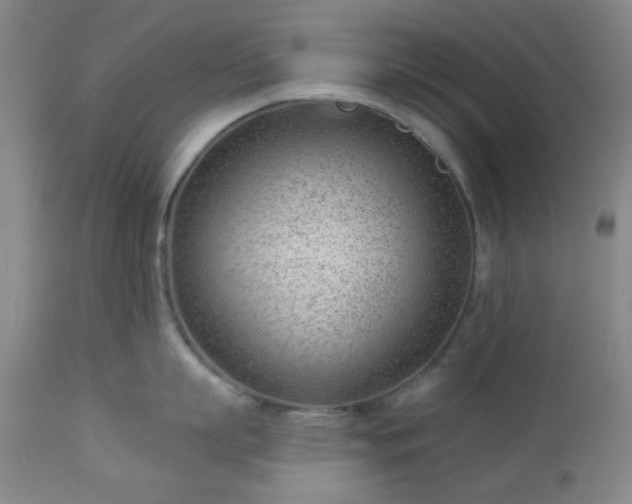 X0000112980863200909031107