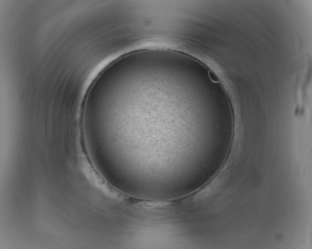 X0000112980864200909031107