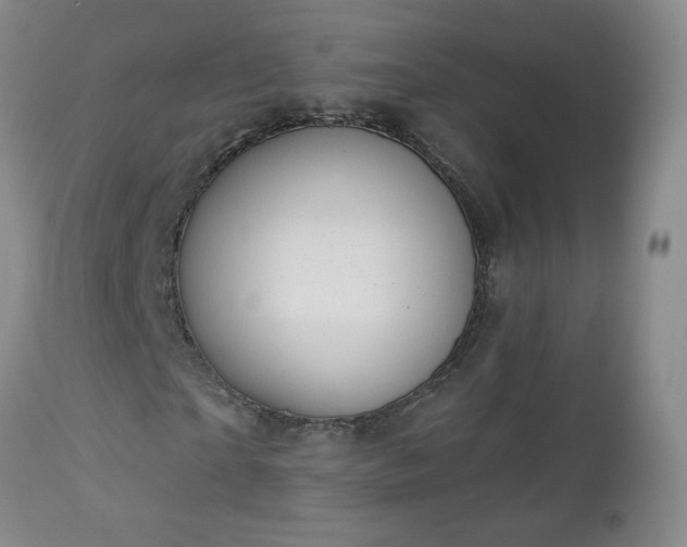 X0000112980865200909031106