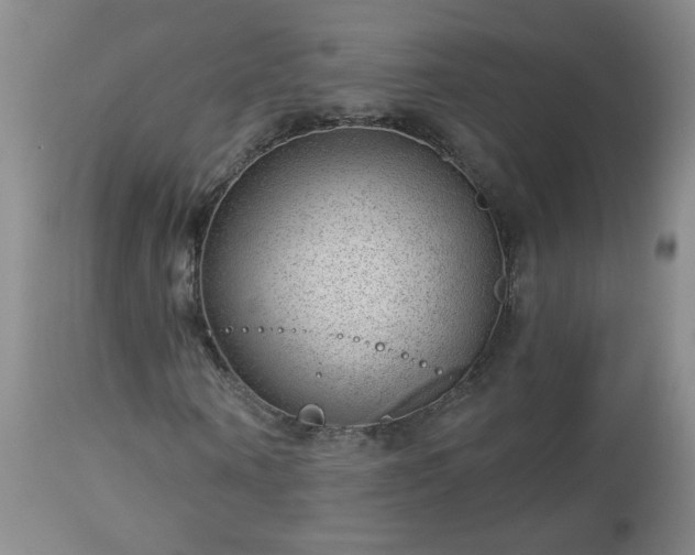 X0000112980866200909031106