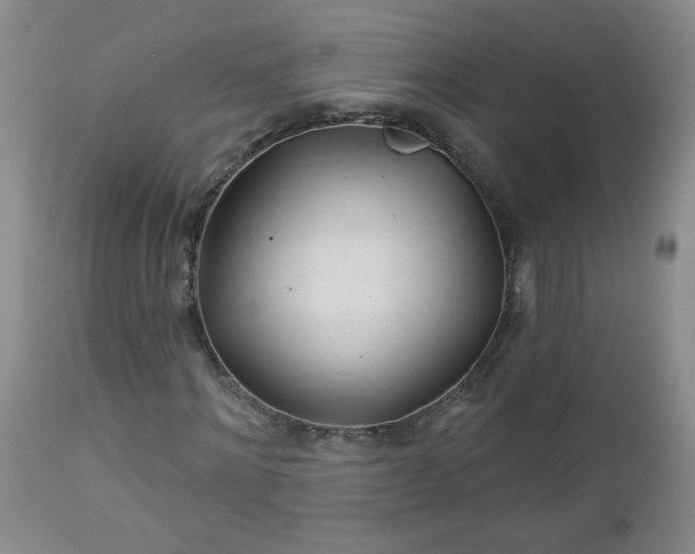 X0000112980868200909031106