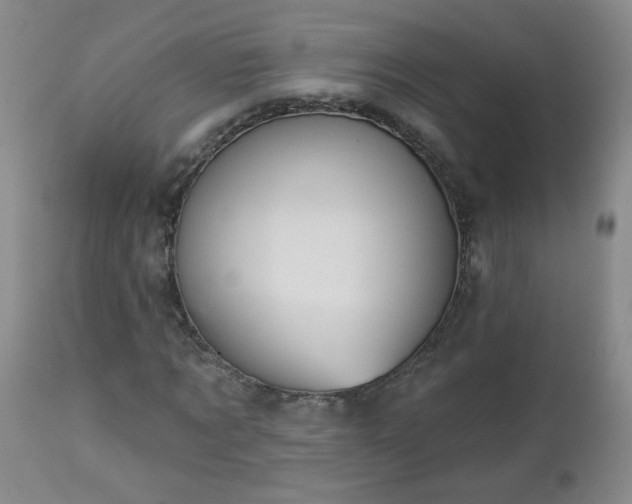 X0000112980869200909031106