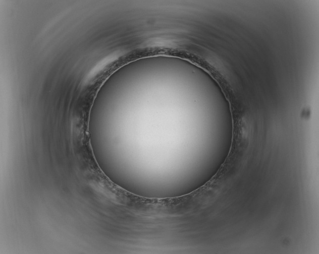 X0000112980872200909031106