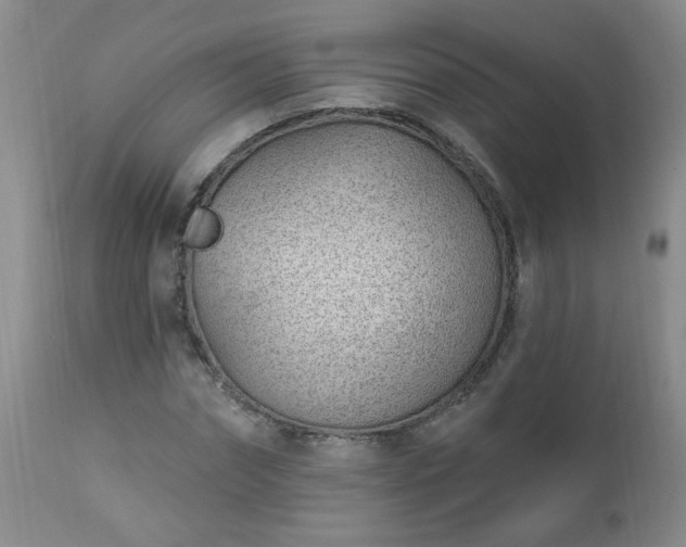 X0000112980874200909031106