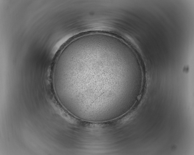 X0000112980875200909031106