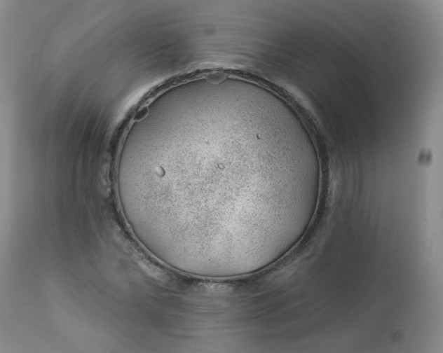 X0000112980878200909031106