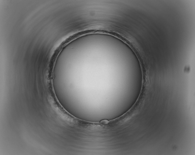 X0000112980880200909031106