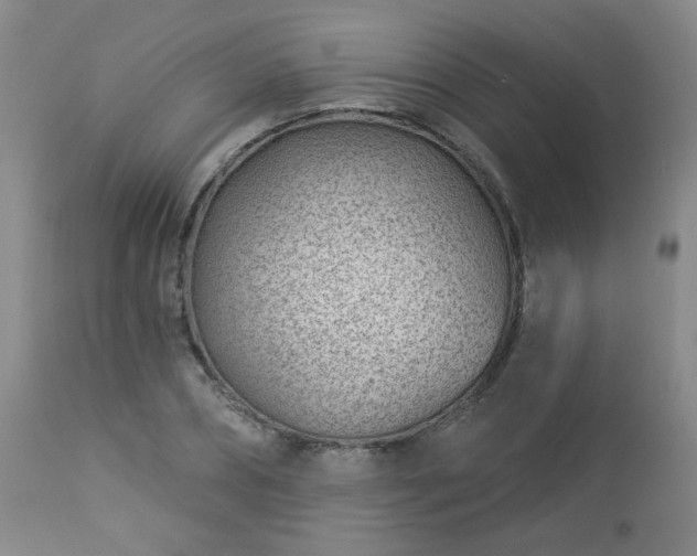 X0000112980882200909031106