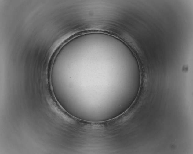 X0000112980884200909031106