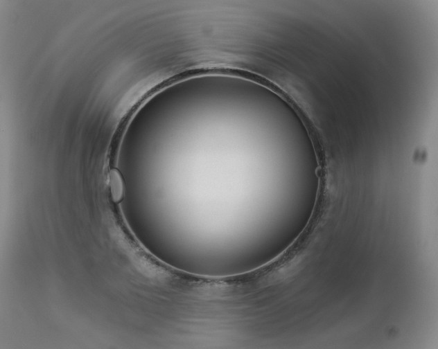 X0000112980885200909031106