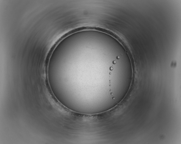 X0000112980887200909031106