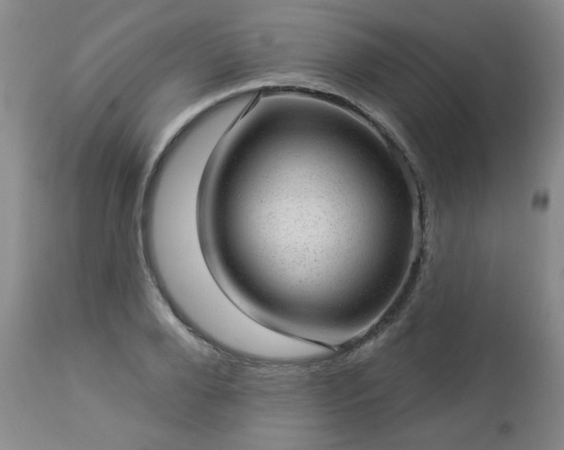 X0000112980888200909031106