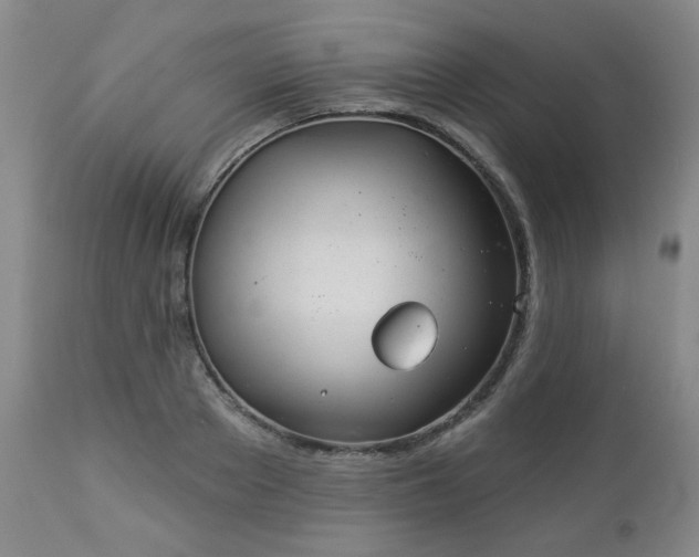 X0000112980889200909031106