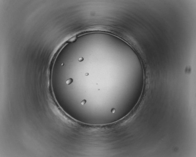 X0000112980892200909031106