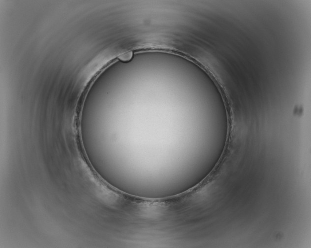 X0000112980893200909031106