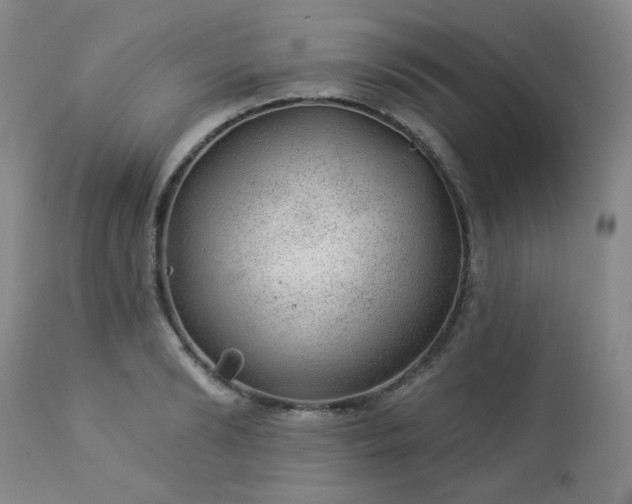 X0000112980894200909031106