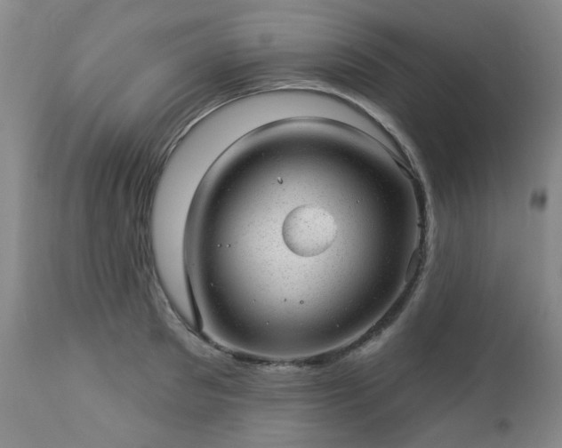 X0000112980897200909031106