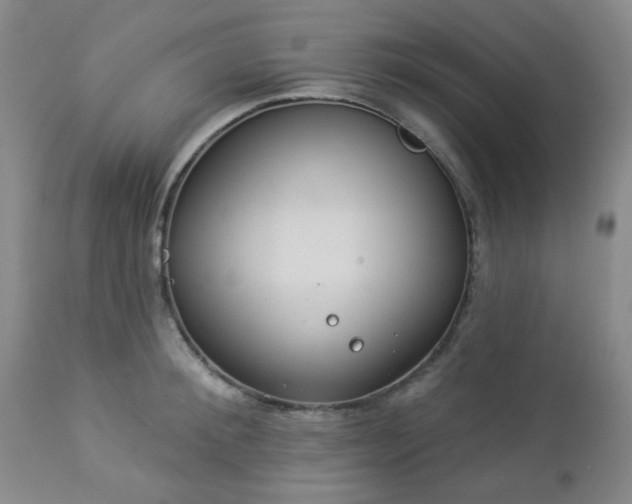 X0000112980900200909031106