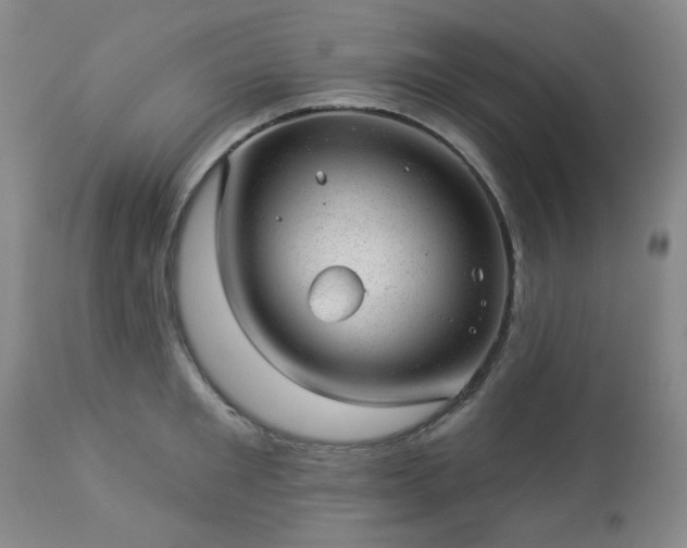 X0000112980901200909031106