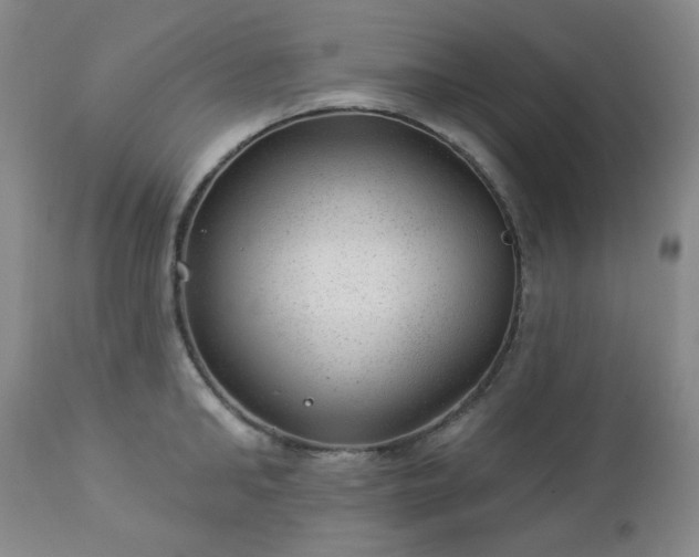 X0000112980902200909031106