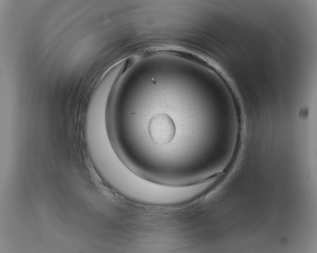 X0000112980905200909031106