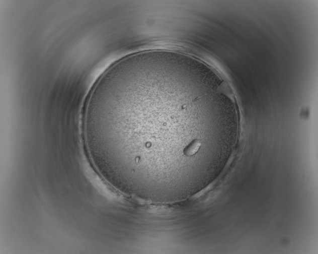 X0000112980907200909031106