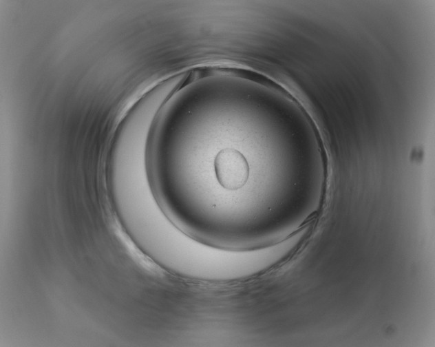 X0000112980909200909031106