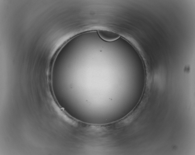 X0000112980910200909031106