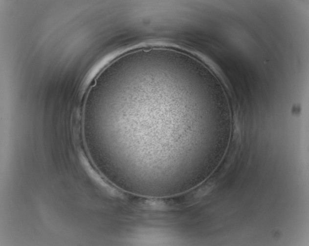 X0000112980911200909031106