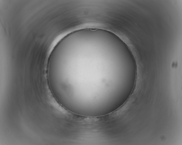 X0000112980912200909031106