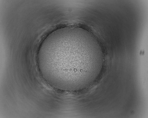 X0000112980913200909031105