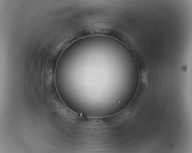 X0000112980915200909031105