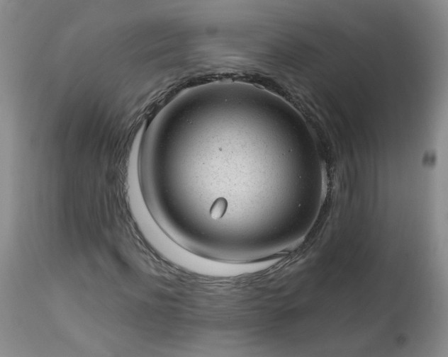 X0000112980916200909031105