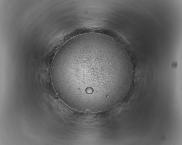 X0000112980917200909031105