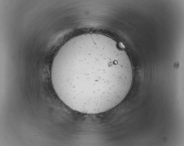 X0000112980918200909031105