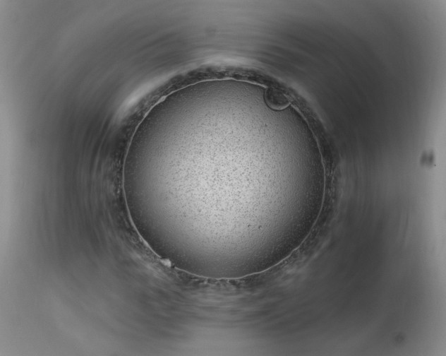 X0000112980919200909031105