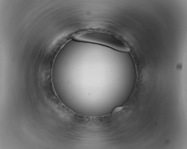 X0000112980920200909031105