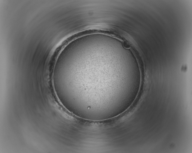 X0000112980923200909031105