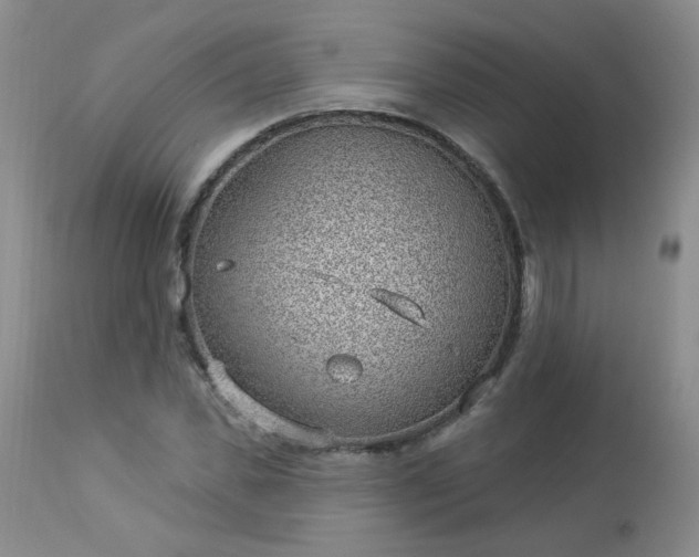 X0000112980925200909031105