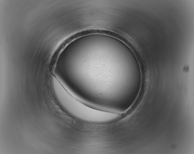 X0000112980926200909031105