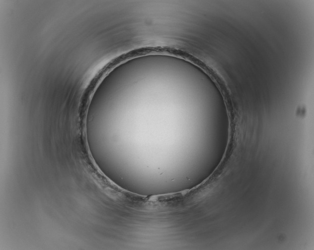 X0000112980927200909031105