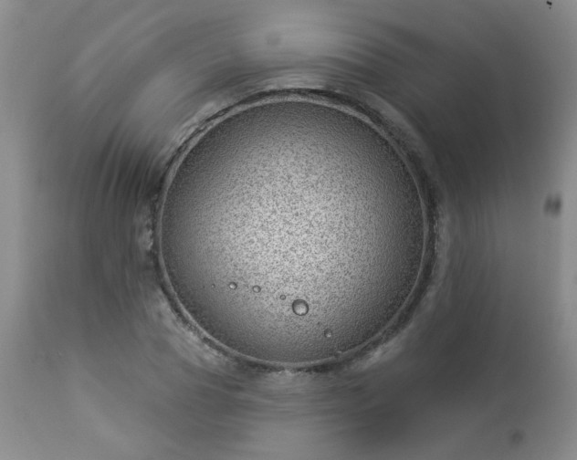 X0000112980929200909031105