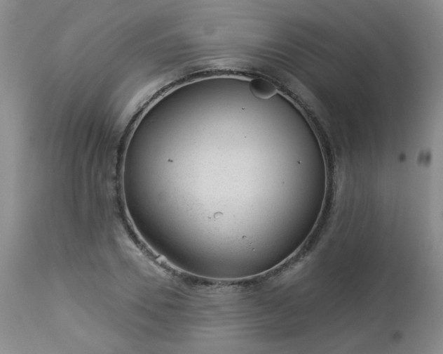 X0000112980930200909031105