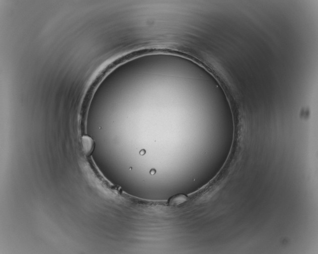 X0000112980932200909031105