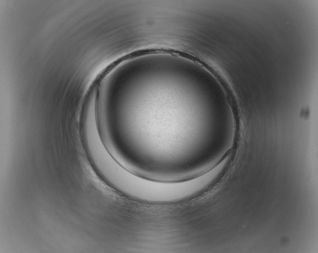 X0000112980936200909031105