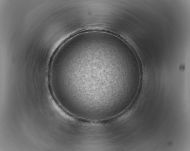 X0000112980941200909031105