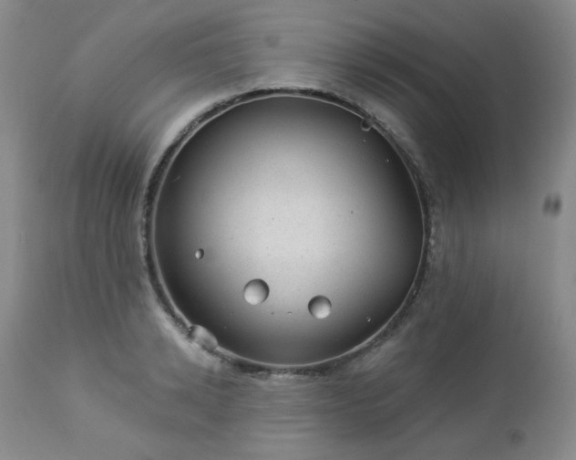 X0000112980942200909031105